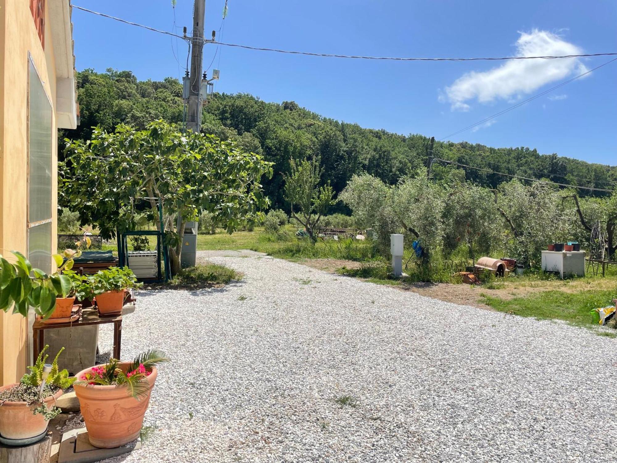 Il Leccio Agriturismo Fiorino Exterior photo