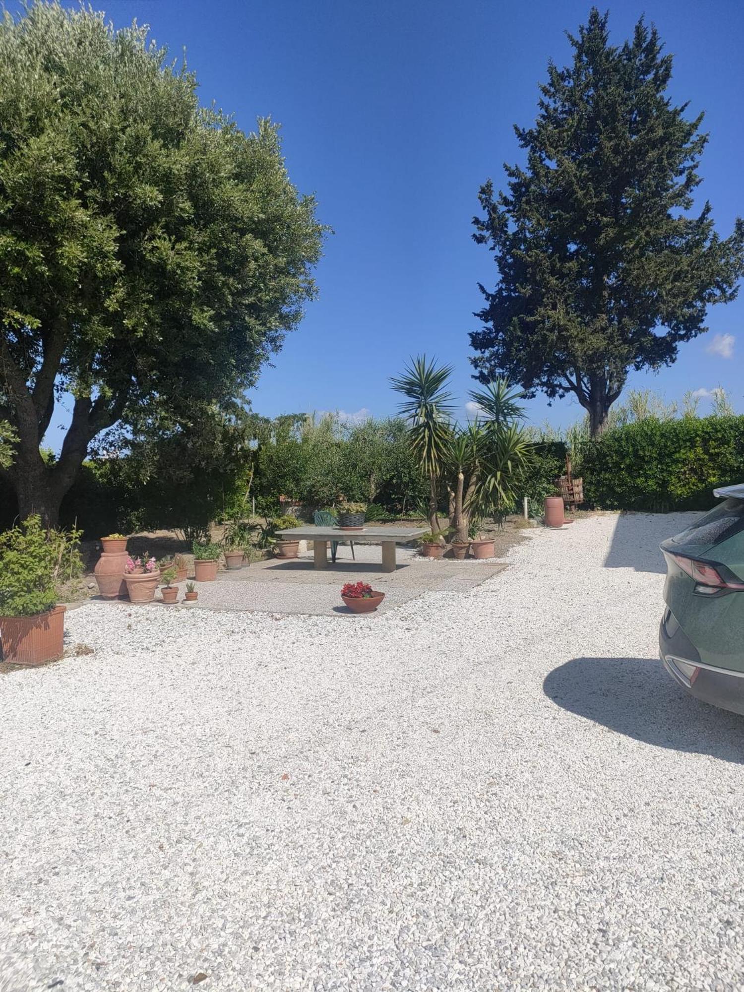 Il Leccio Agriturismo Fiorino Exterior photo