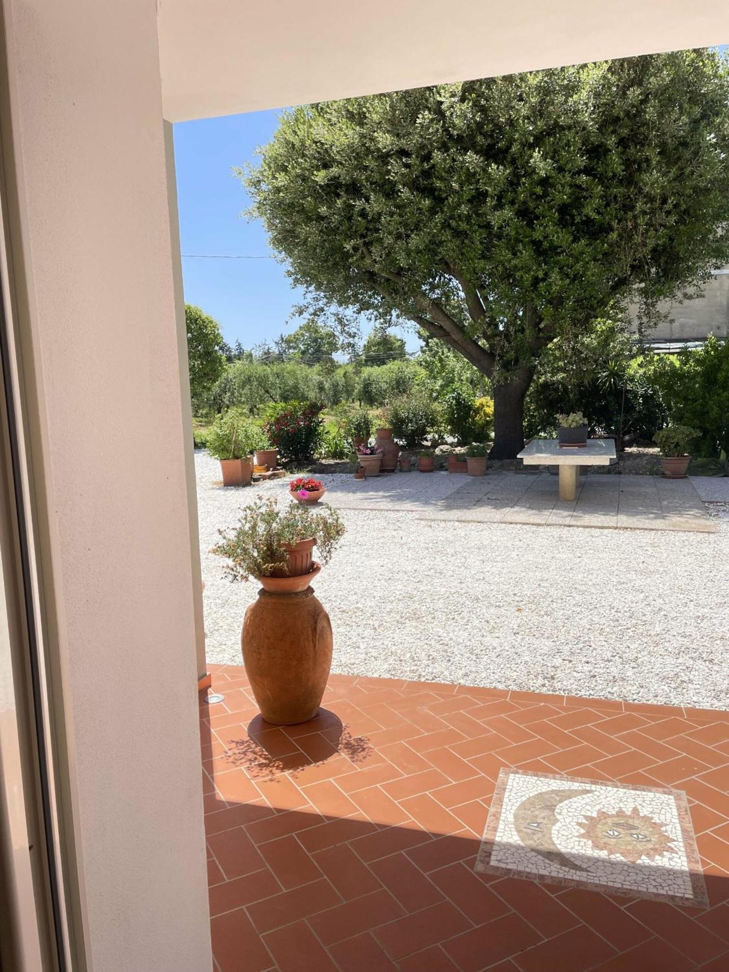 Il Leccio Agriturismo Fiorino Exterior photo